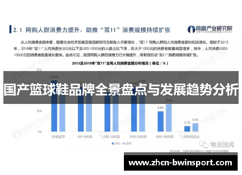 国产篮球鞋品牌全景盘点与发展趋势分析