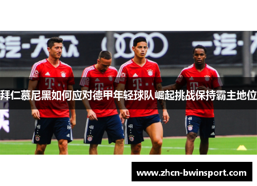 拜仁慕尼黑如何应对德甲年轻球队崛起挑战保持霸主地位