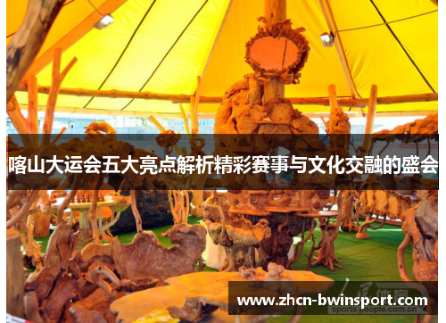 喀山大运会五大亮点解析精彩赛事与文化交融的盛会